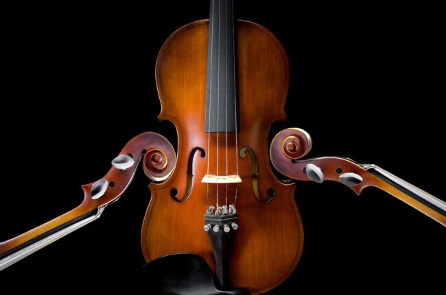 viola-7108953_1280