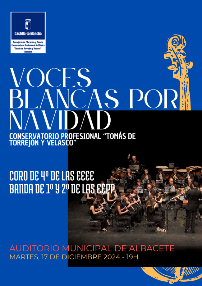 Cartel Concierto 17